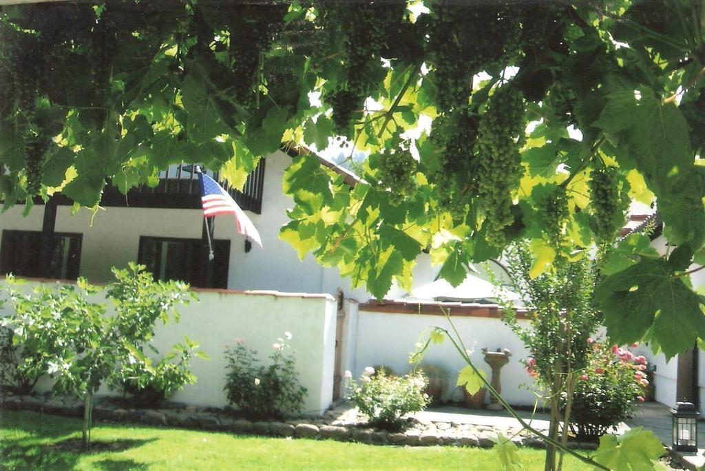 Spanish Villa Inn Сент-Хелина Экстерьер фото